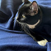 Solid navy blue custom polar fleece blanket throw travel blanket for gift