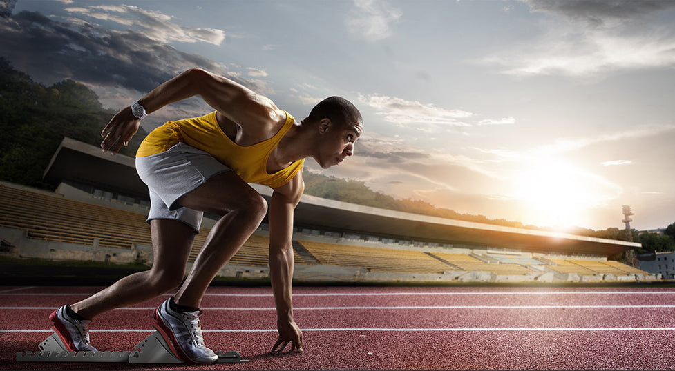 Our development is your success